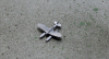 F 14 Aichi E13A2 "Jake" (4 p.) J 1938